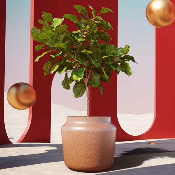 features-planters-800x800px
